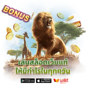 เว็บ alizlot