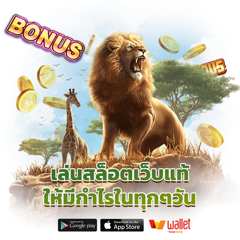 เว็บ alizlot